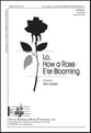 Lo, How a Rose E'er Blooming SATB choral sheet music cover